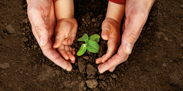 La Sucesión De La Empresa Familiar. 2 Jornadas La Sucesión De La Empresa Familiar. 2 Jornadas. Padre e hijo sembrando