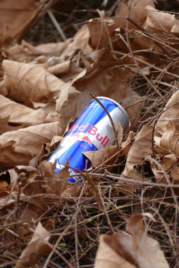 Red Bull: Entre el éxito empresarial y las turbulencias familiares